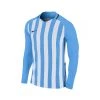 Nike Boy's Striped Division LS Jersey X