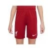 Nike GS Boys Dri-FIT Training Shorts